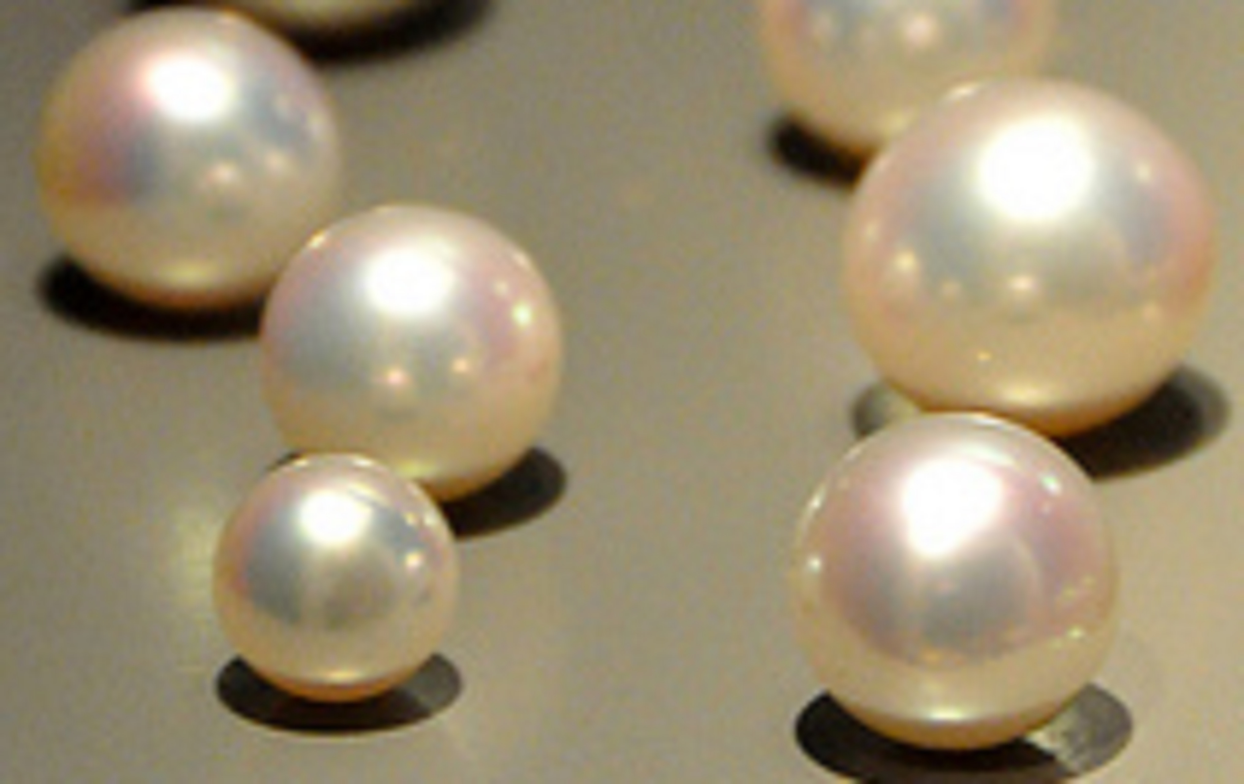 South Sea Pearl Picture